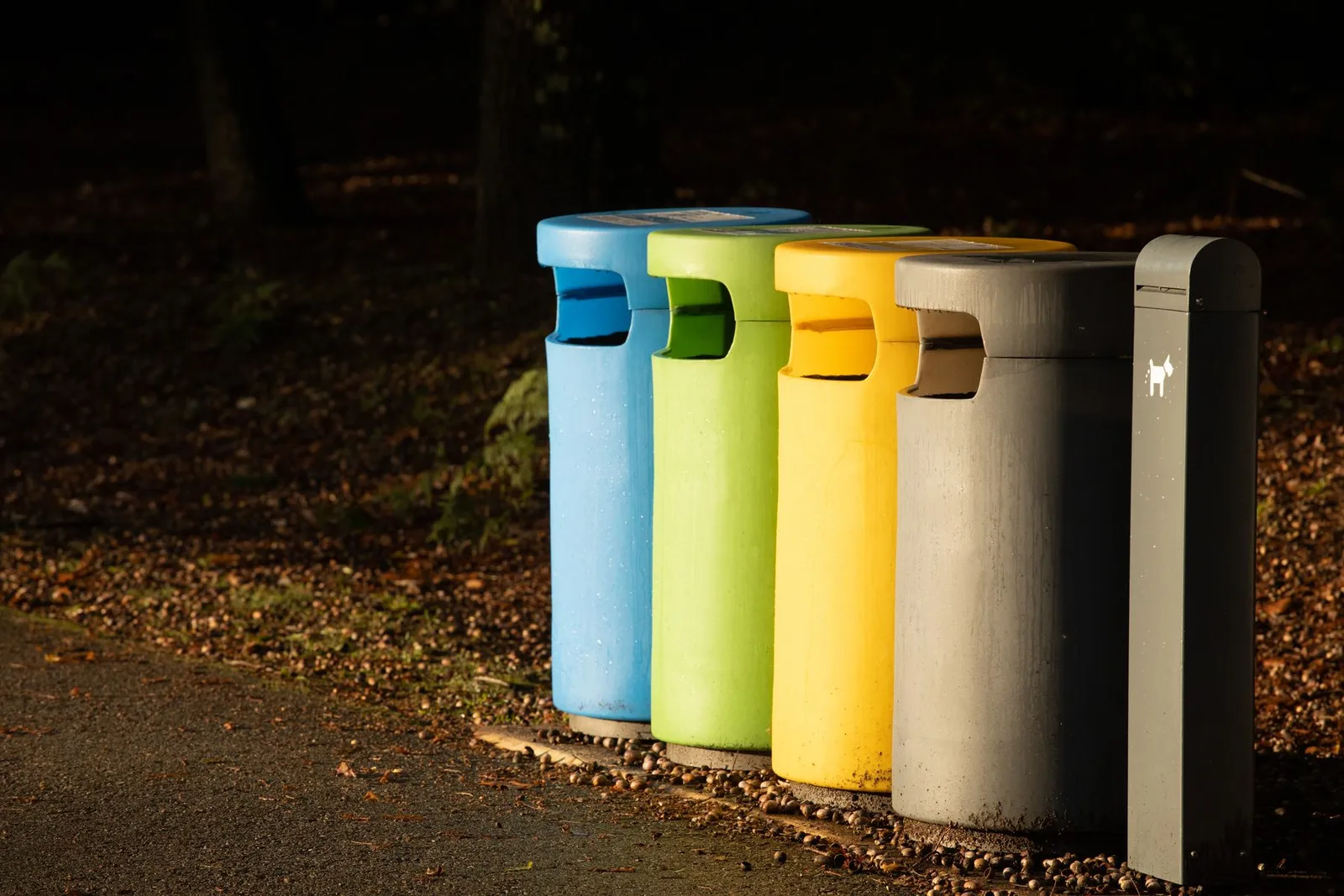 Garbage collection inspiration